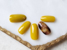 定額ブロンズ