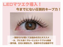 サラ 金山店(Sara)/LEDフラットラッシュ100本