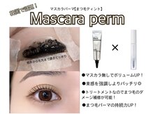 カミエニコ(Kamienico)の雰囲気（マスカラパーマで自まつげクッキリ★#マツパ#マスカラパーマ）