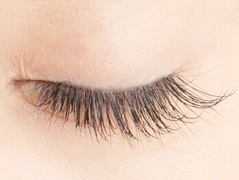 ドットイチイチマルイチ 銀座店(DOT1101)/120本