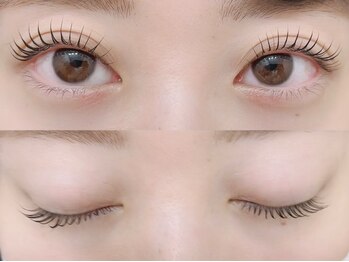 アイラッシュ ラビット(Eyelash Rabbit)/