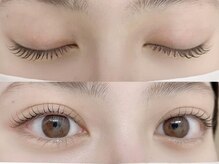 アイラッシュ ラビット(Eyelash Rabbit)/