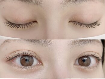 アイラッシュ ラビット(Eyelash Rabbit)/