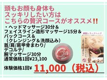 ベルフィーヌ(BELFINE)/新メニュー！