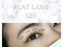 ペタリン(Petarin)/フラットラッシュ120本