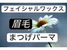 平日限定！眉毛＋上まつげパーマ＋フェイシャルWax