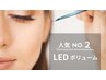 石野限定【新規・土日祝】LEDボリューム140束(約420本)《オフ無料》