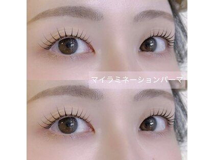 リース(wreath)の写真
