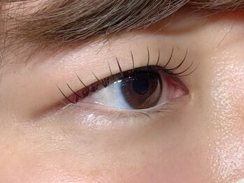 アポロランド ルーナ/フラットラッシュ