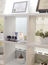 スマイルカイロプラクティック/窓辺の植物