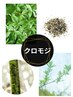 【人気オプション】クロモジ追加 　※単体利用不可