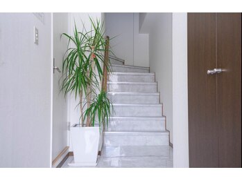 ヴォーグ(VOGUE)/VOGUE玄関