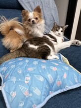 きよら/我が家に居ます。