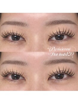 ヴィーナス(Venus)/パリエク120本