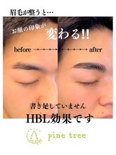 パインツリー(pine tree)/高校生に人気！