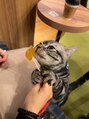 ハワイアンフォレストSpa 木更津店&nbsp;猫が好きです。猫カフェに行きました☆