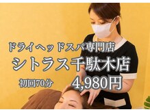 シトラス 千駄木店