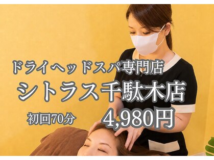シトラス 千駄木店の写真