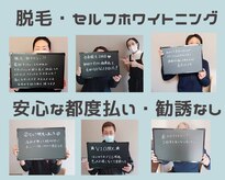 モテテ(motete.)