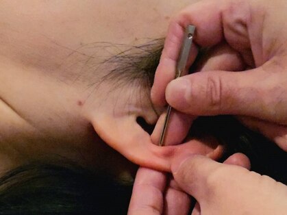 マル(maLu)の写真