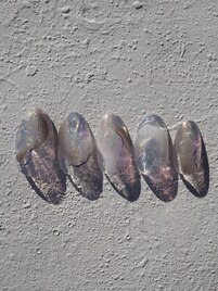 ハンド☆アートコース1