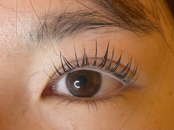 ラシク ベル(Lashiku Belle)/パリジェンヌラッシュリフト