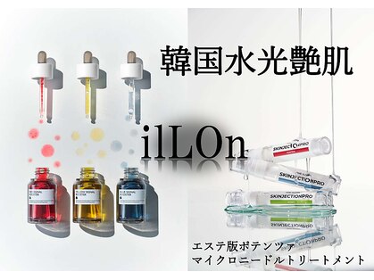 マーガレット(Marguerite)の写真