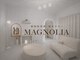 マグノリア(MAGNOLIA)の写真