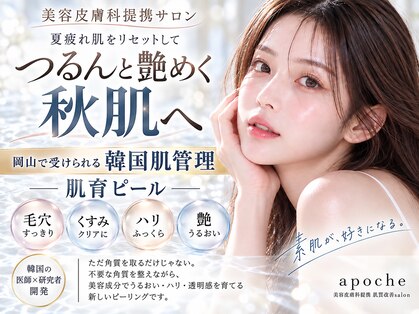 アポシェ(apoche)の写真