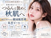 アポシェ(apoche)
