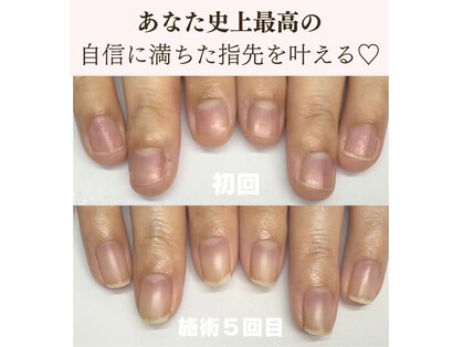 ポノポ(ponopo)の写真