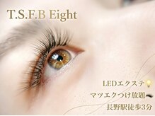 ティーエスエフビーエイト(T.S.F.B Eight)