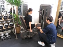 ワイボディスタンダード(Y BODY STANDARD)