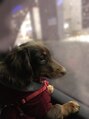 ヴィア 名古屋駅前店(via)&nbsp;ダックス飼ってます♪