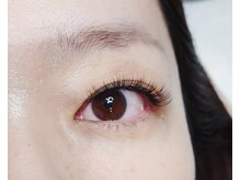 プレイド(PRADE)/ボリュームラッシュ300本(100束)