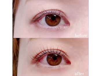 カクテル(COCKTAIL)/パリジェンヌラッシュリフト