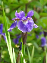 モミ 高崎浜尻店(momi)&nbsp;西谷 夕