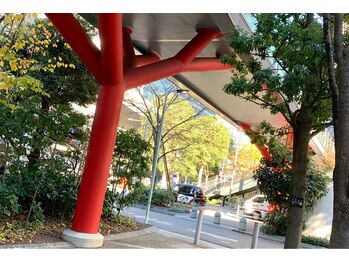 シエロ 赤坂店(Cielo)/~6~