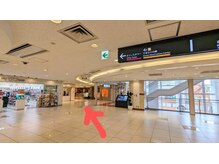 ホールハーモニー 上大岡/道案内