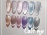 話題沸騰!!次世代マグネットネイル☆キャッツアイネイル8900円(foot)