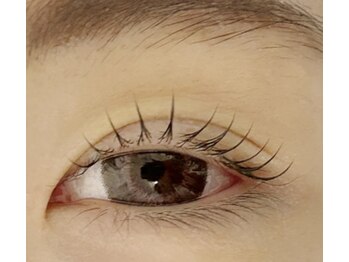 アイラッシュプラン メル 高槻JR駅前店(eyelash plan Mel)/潤いまつ毛パーマ