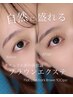 【8月限定】ナチュラル派さん必見！フラットラッシュ100本￥4950→￥4400