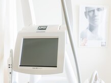 フラミンゴ(flamingo)