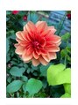 ティーズアイ 北千住店(T's eye)&nbsp;動植物園が好きです(^^♪