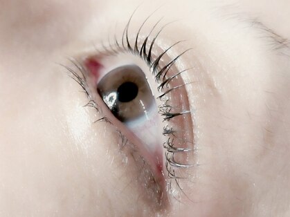 ファイン(Fine)の写真