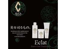 プレシャスサロン(precious salon)/正規リアボーテ導入店舗