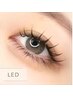 【期間限定 LEDマツエク】LEDフラットラッシュ100本 ¥6600