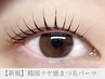 【ご新規様】韓国アイドル風☆韓国つや感まつげパーマ¥6100→¥5600