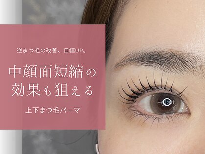 プラスグラッツ 恵比寿(+glatt)の写真