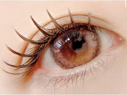 Eyelash felicite 光吉店の写真
